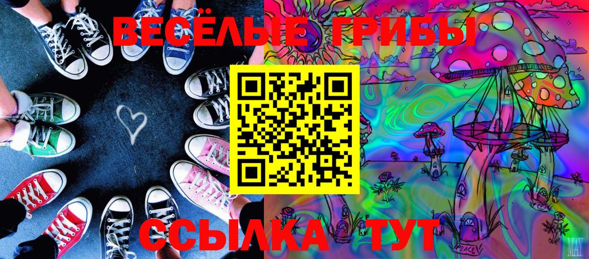 Псилоцибиновые грибы GOLDEN TEACHER  Вход с VPN  Сокол 